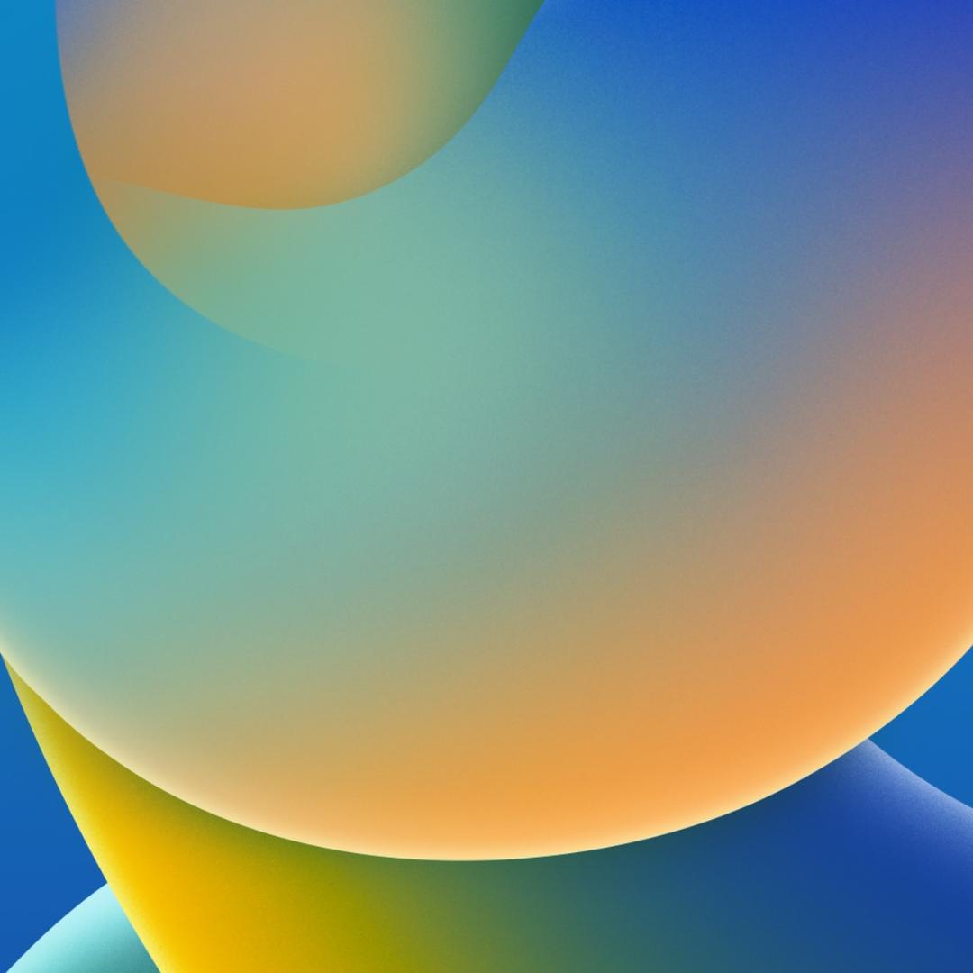 菏泽外经孙老师