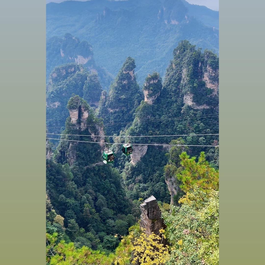 淡雅清晨