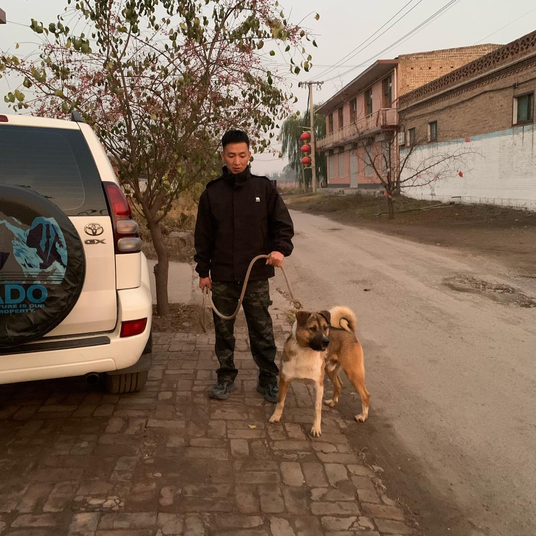 🔥养土狗的男人