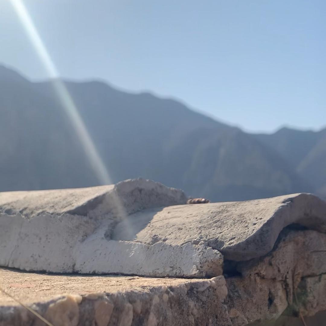 彬彬的田间地头