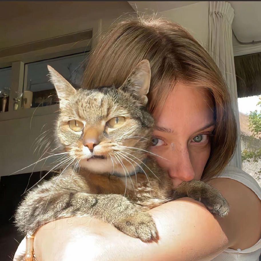 小张不是个胖子