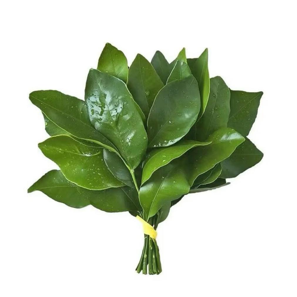 洪青橙