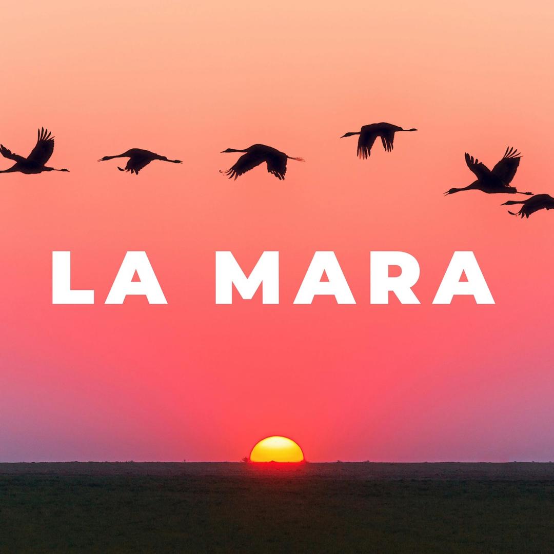 La Mara饰物所