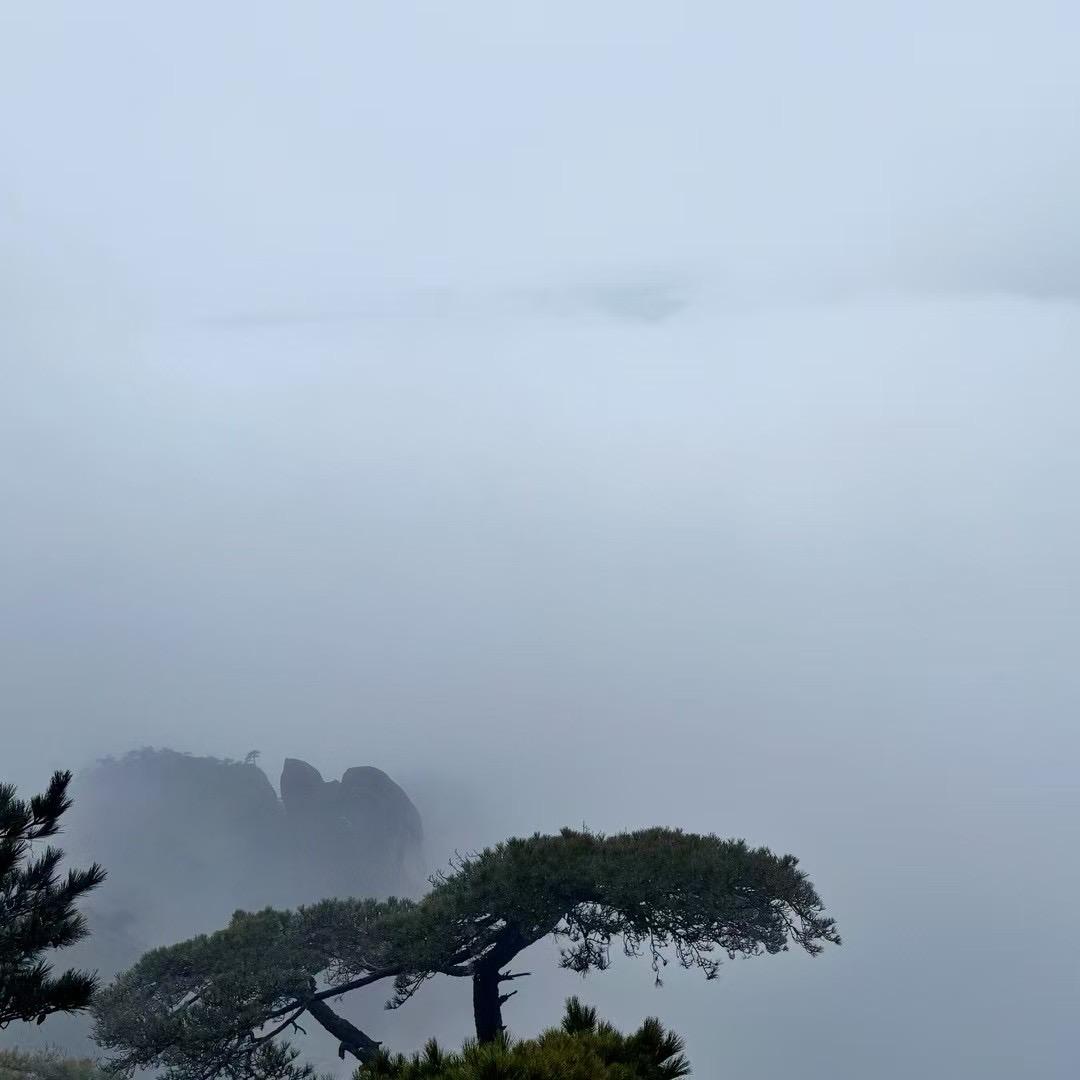 你过来呀！