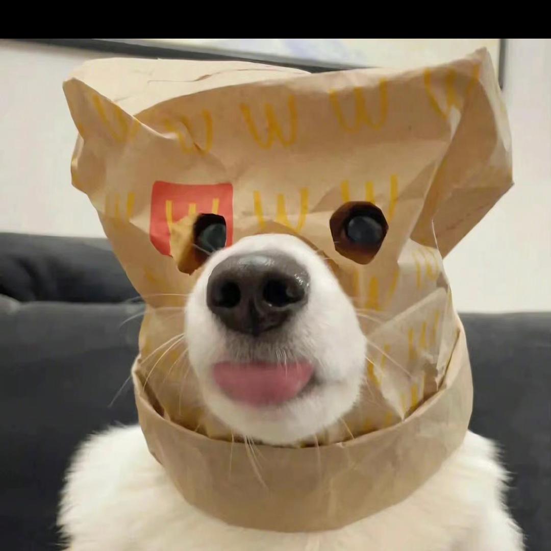 小小小小徐👻