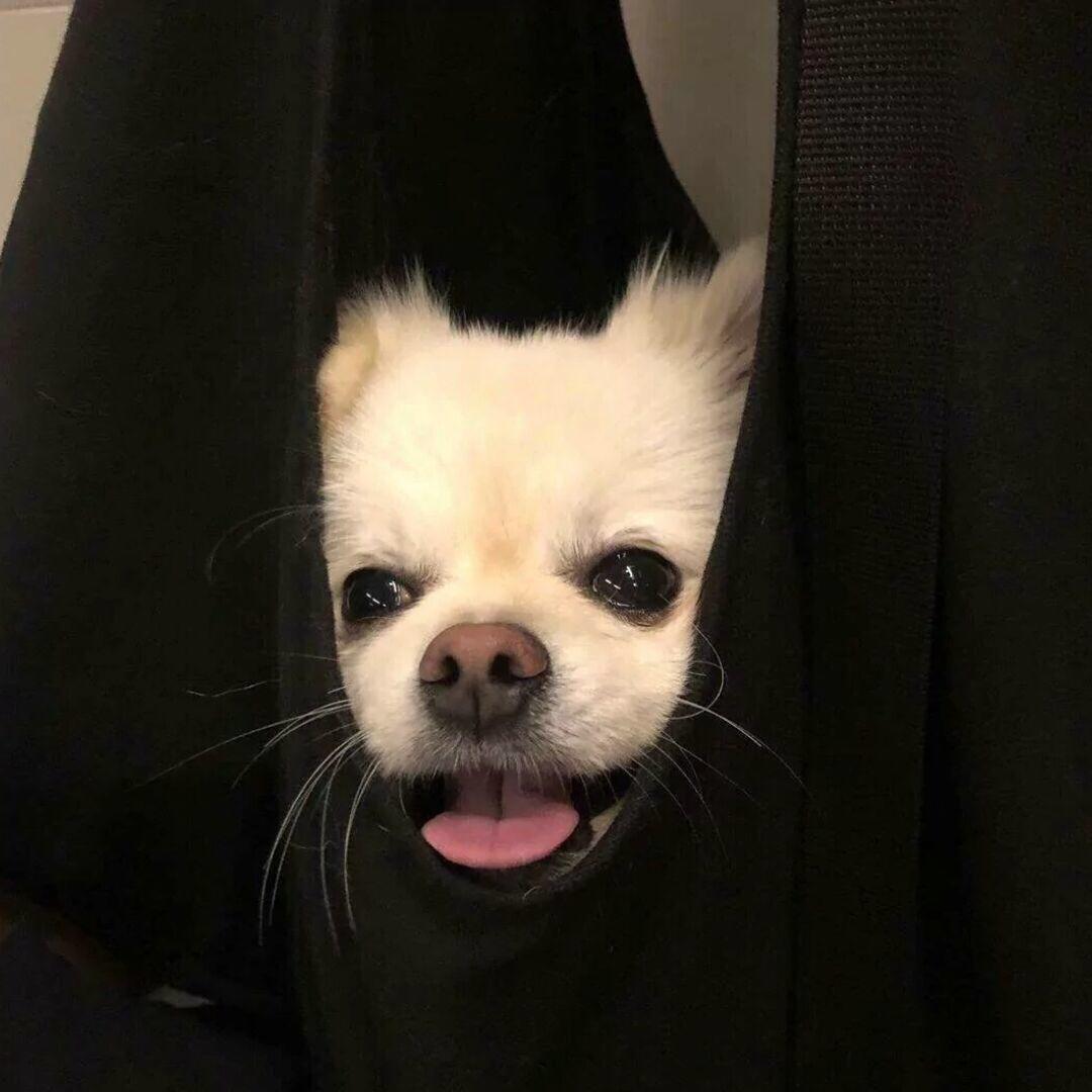 HEllo X