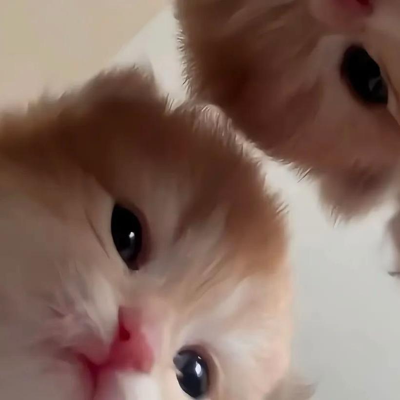 。 。 。