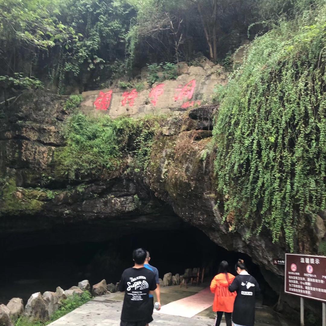 唐僧洗头用飘柔