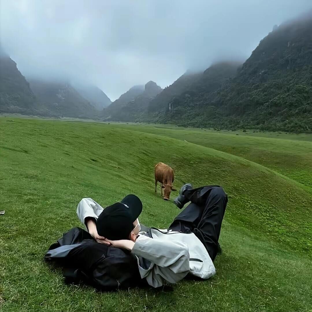 小鱼不在i
