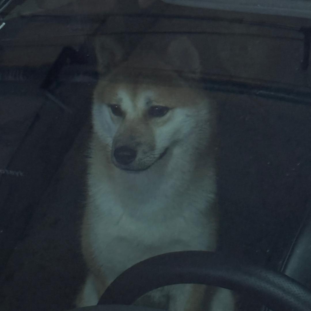 一万