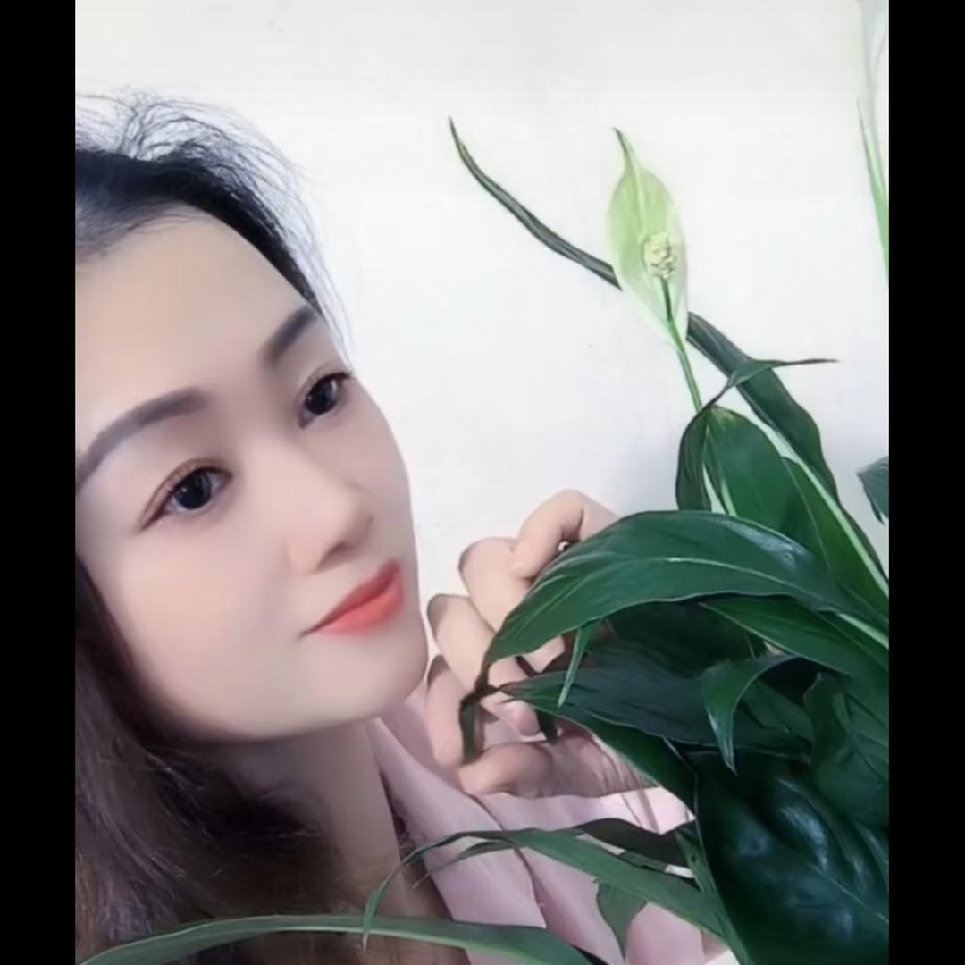 玲玲