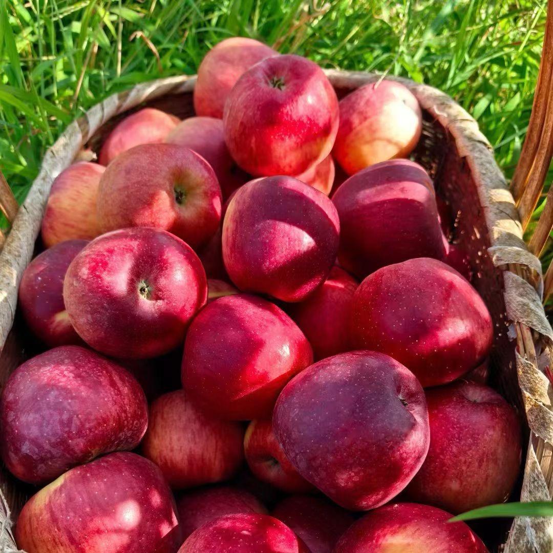 沐研农产水果精选铺