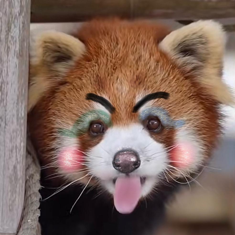 陳小西ᕙ(•̤᷆ ॒ ູ॒•̤᷇)ᕘ🐼