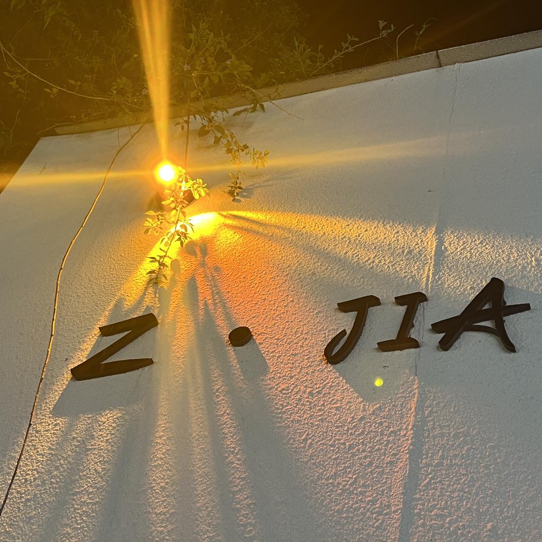 Z·JIA大码女鞋集合店
