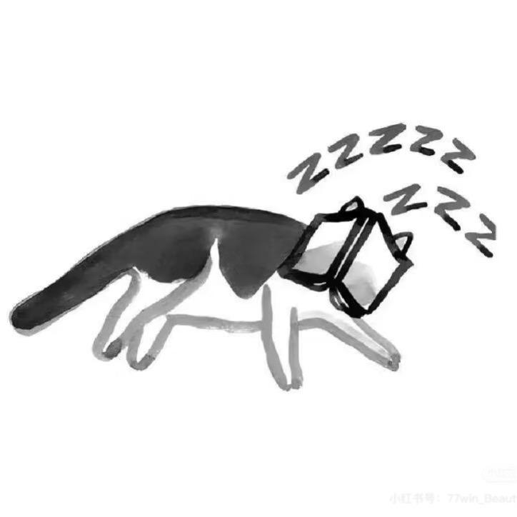 喵喵喵🐈‍⬛的毛老师