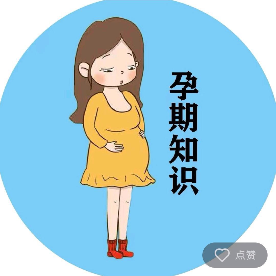 助产士佳乐