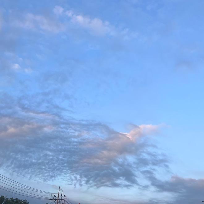 新村瘦子