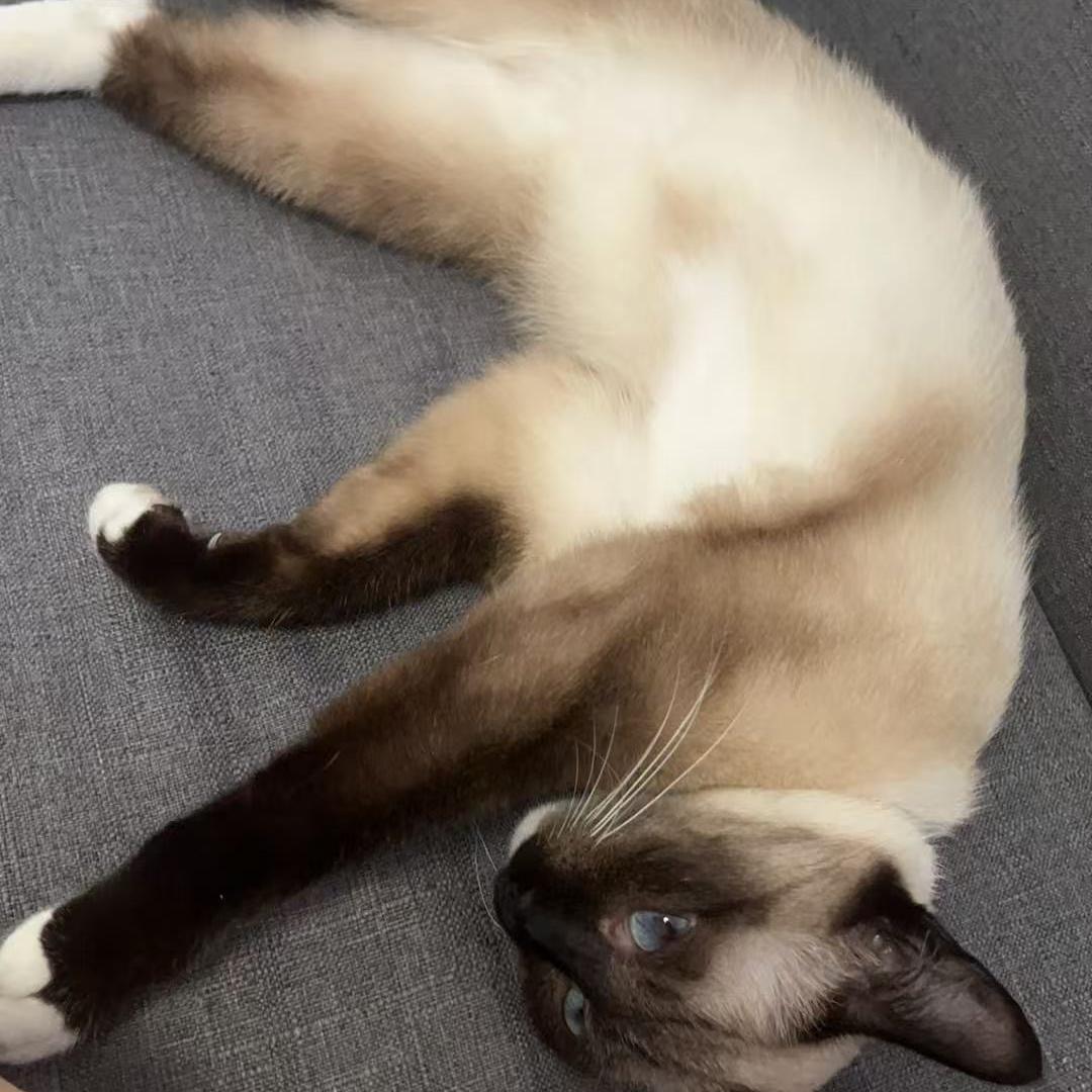 长沙湘辰/直播间