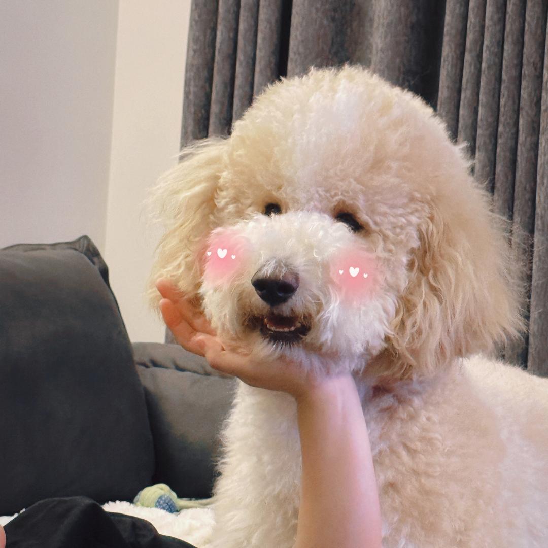 酱子～啊～