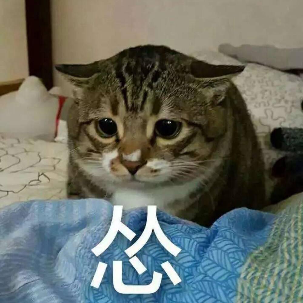 ℡继续﹍