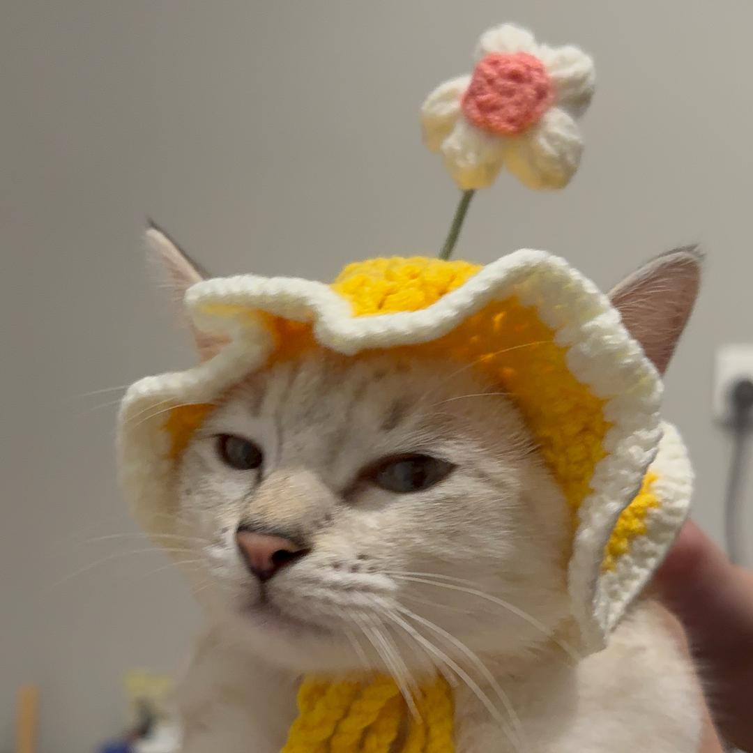 仙女.姐姐
