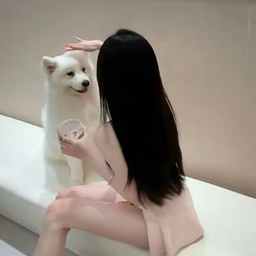 小雅