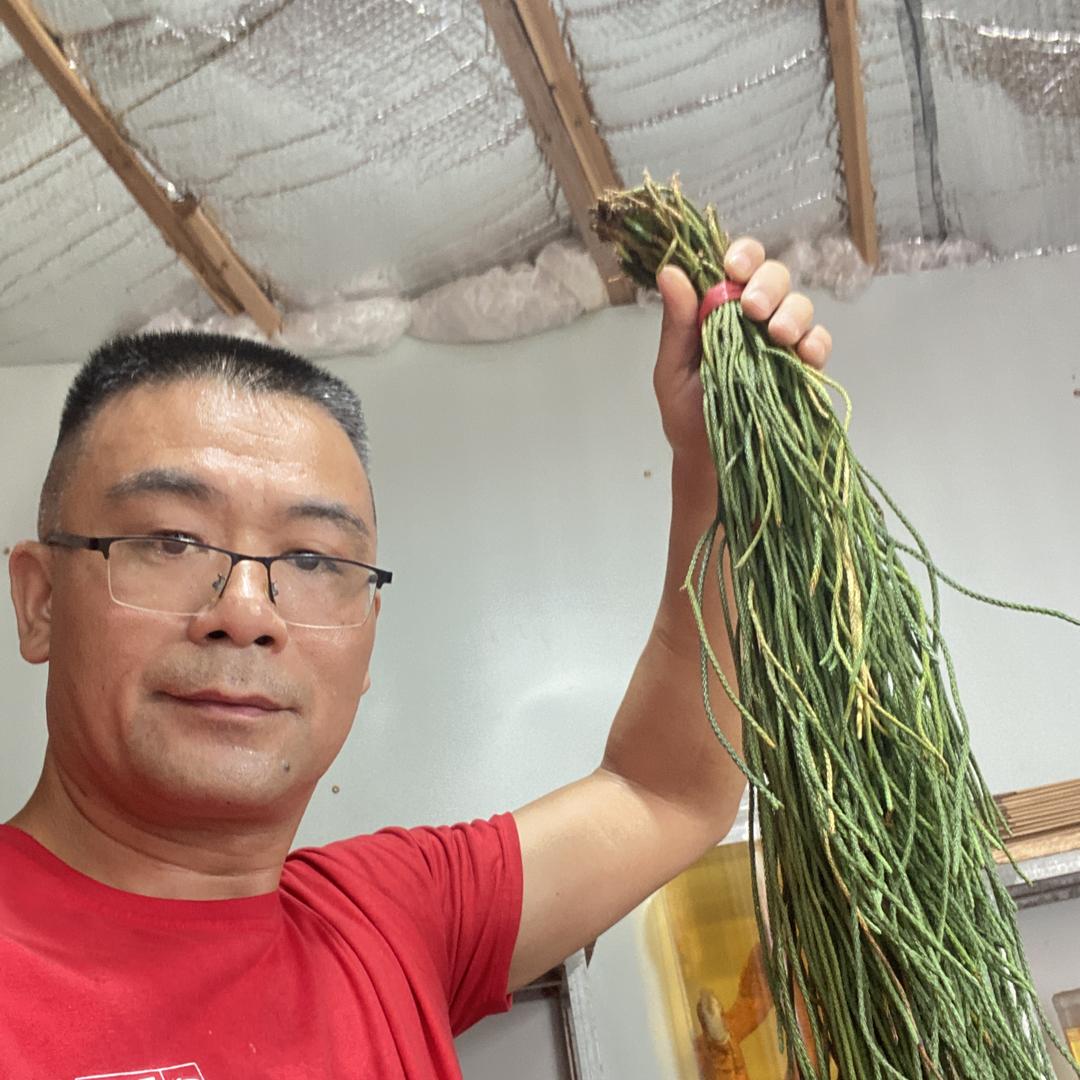 大力牛