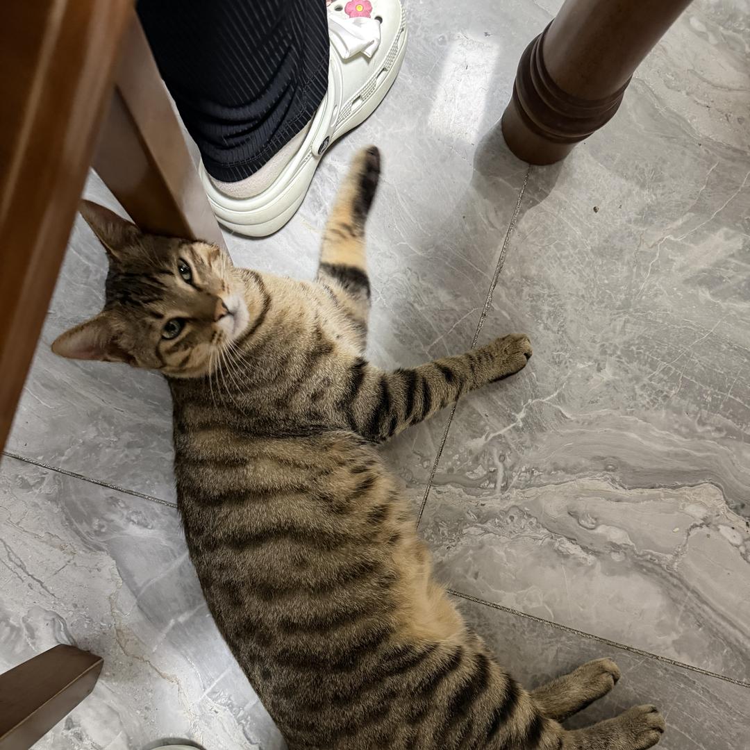 南通市欣旺达通讯科技有限公司