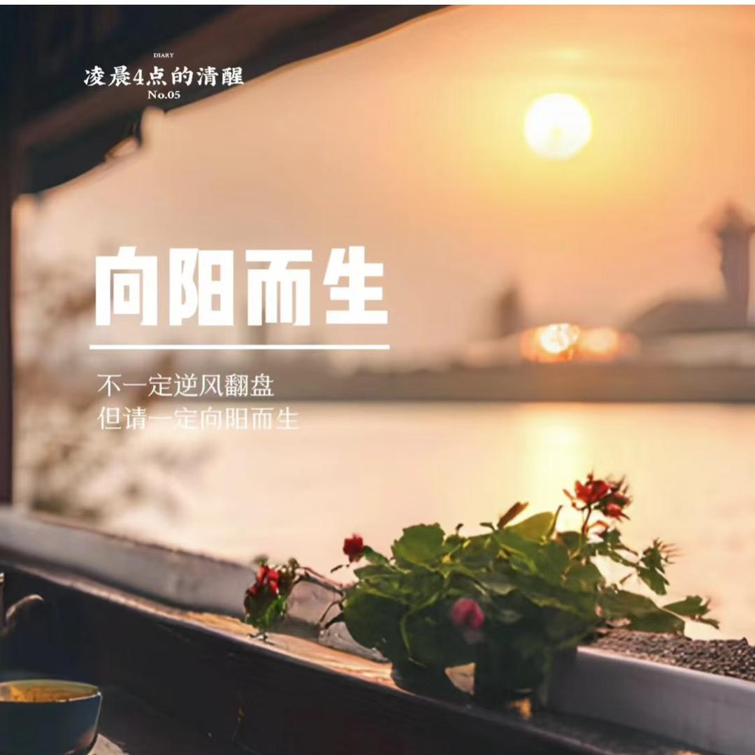 向阳而升