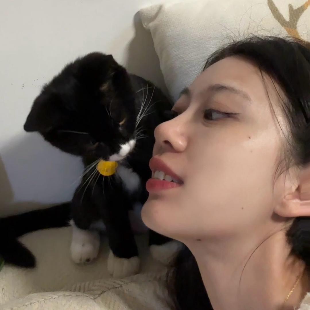 小霍不想努力了