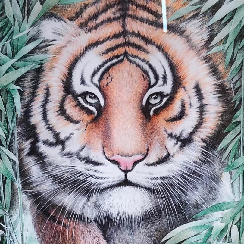 @画圆珠笔画的蓝画