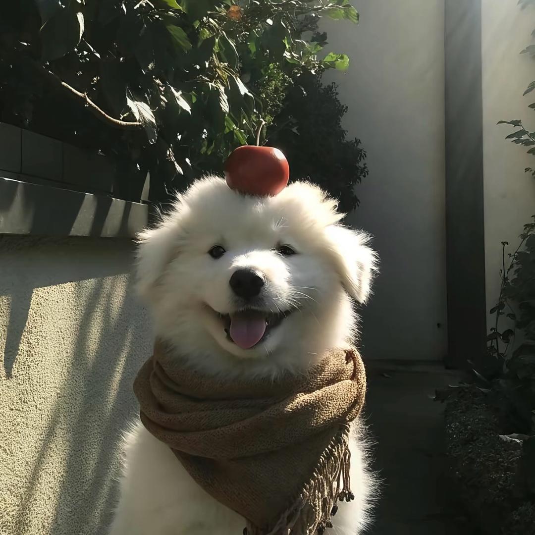 无能的丈夫