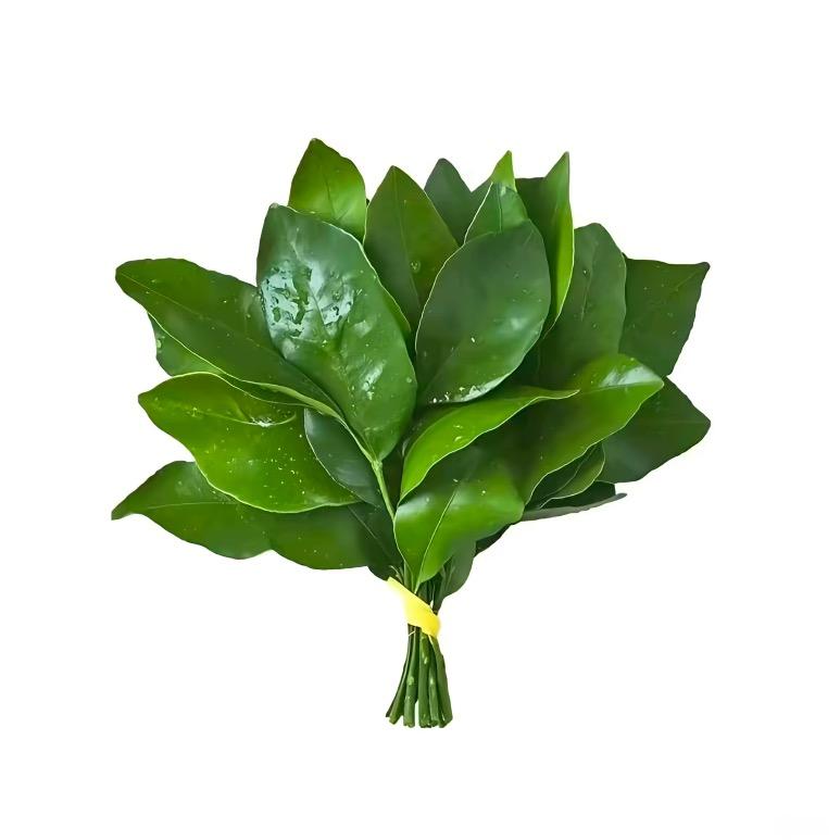 你在干嘛