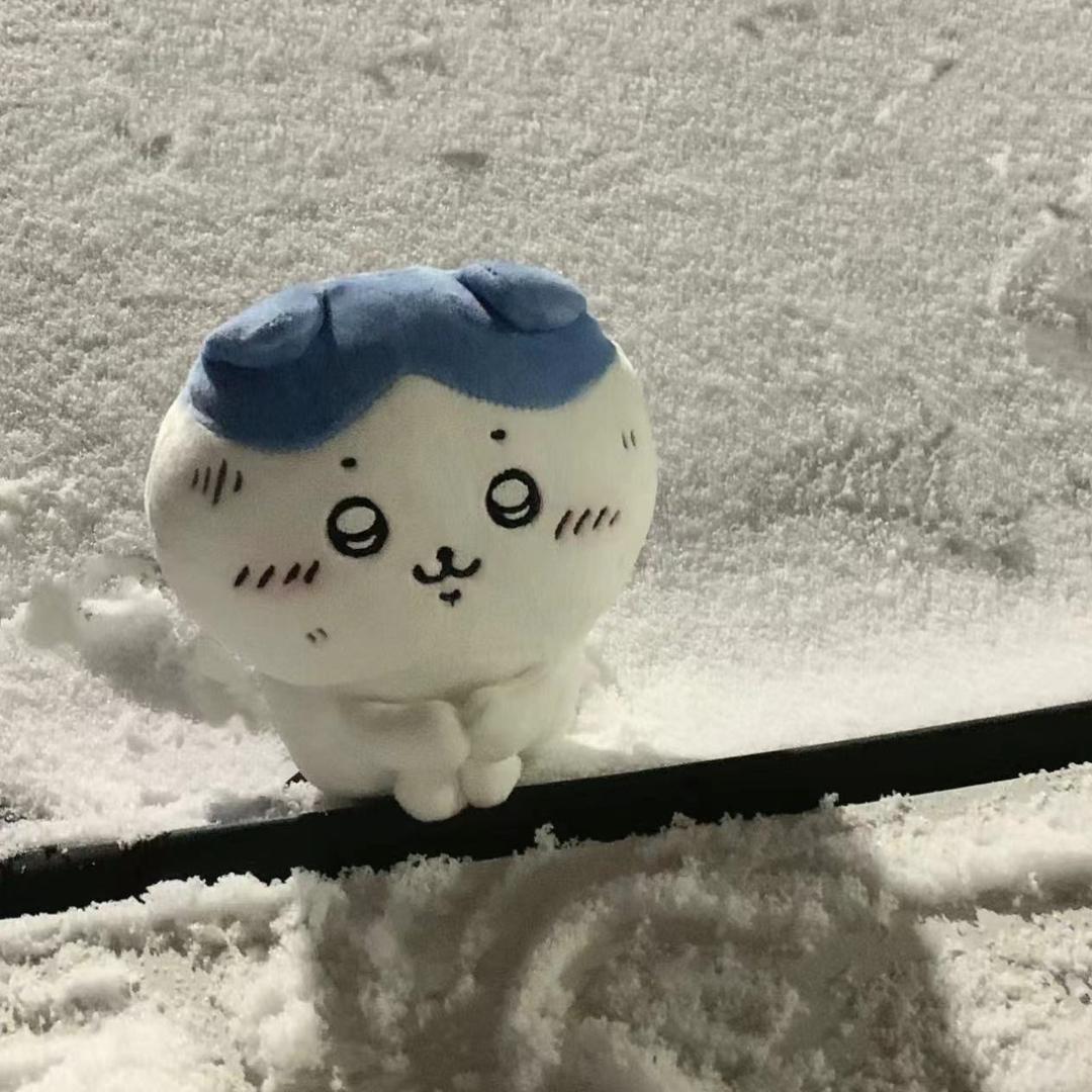 蛋仔派对涂徒