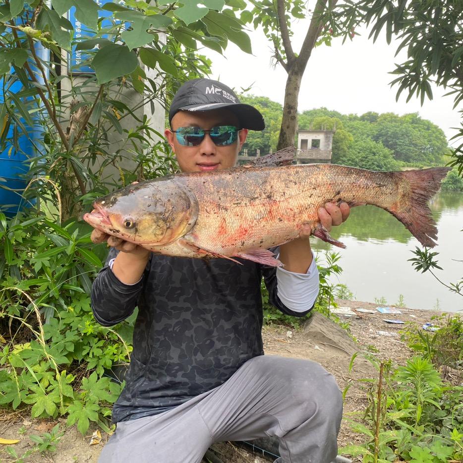 阿座（仗剑钓天涯）