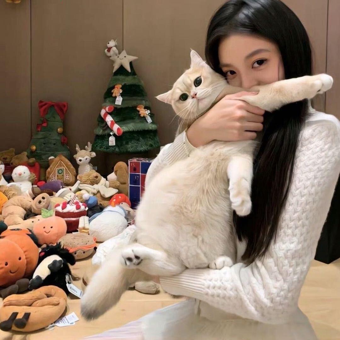 🧨没烦恼