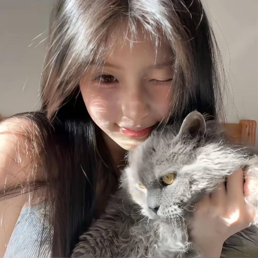 眠羊