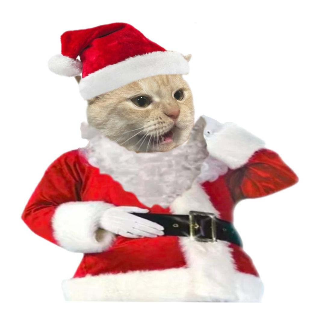 根本没有我那么辣🥵