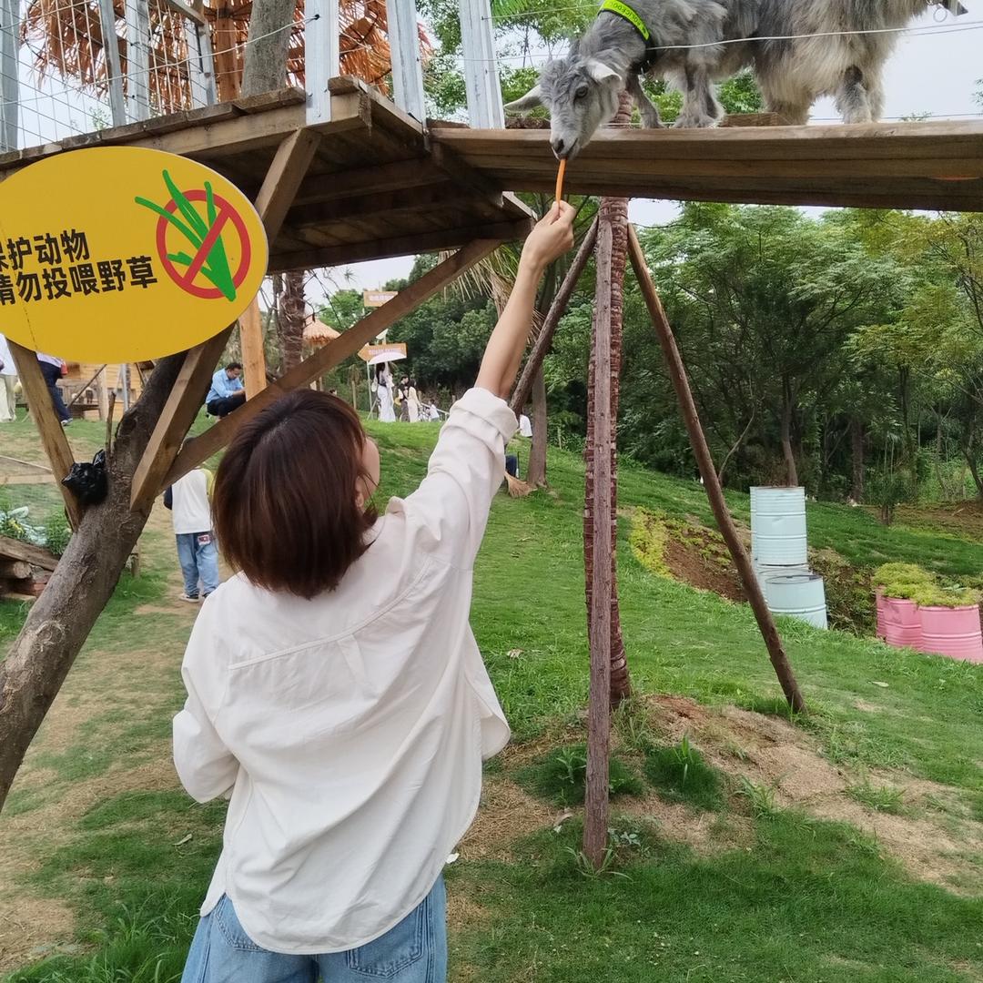 又又又又（则伊昱伊）