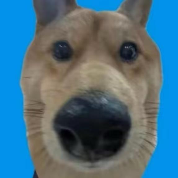 朴宰范的弟弟朴娼范