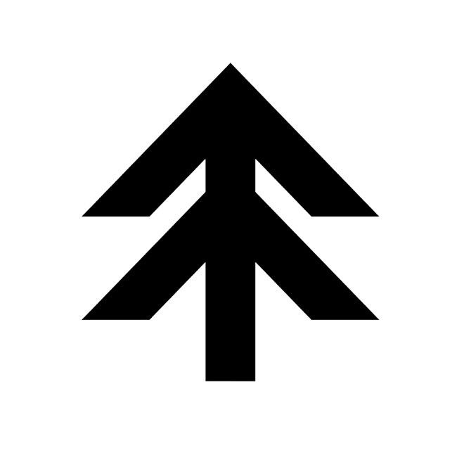 Gray Snowboards