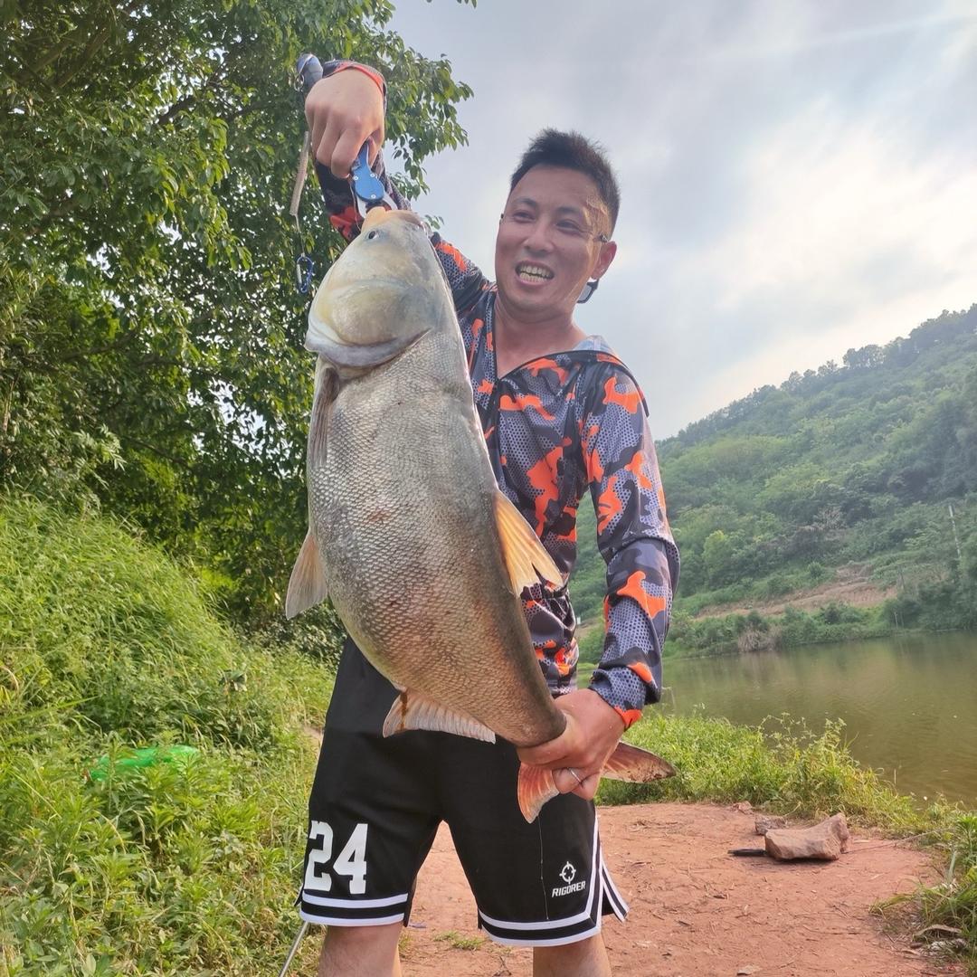 蚂蚁牙黑爱喂鱼