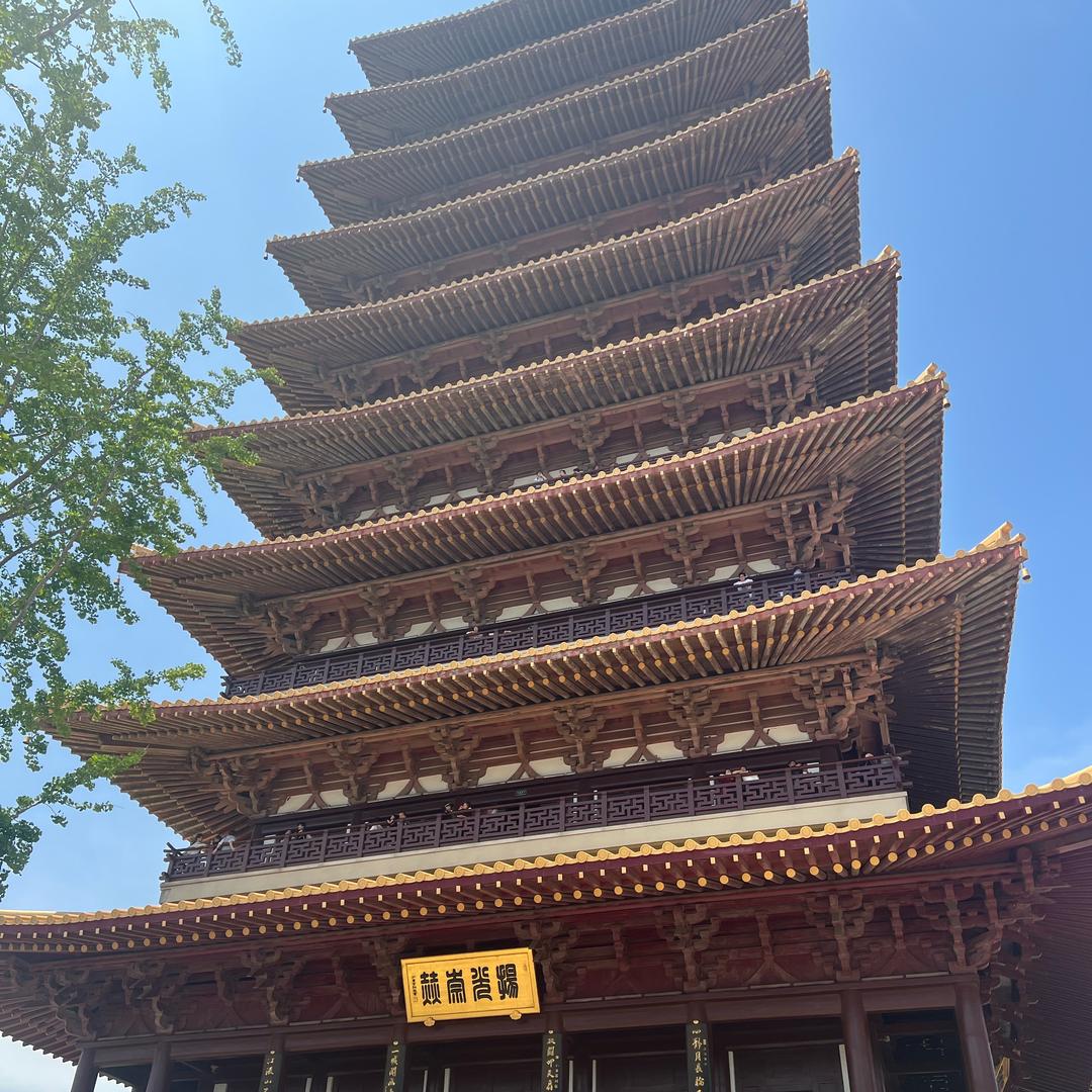 張八兄