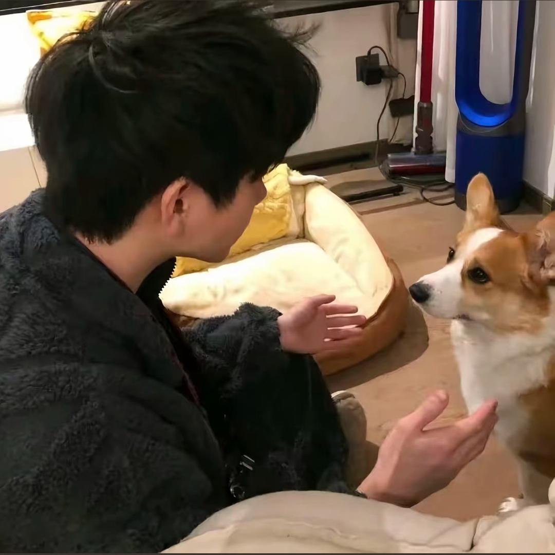 许七安