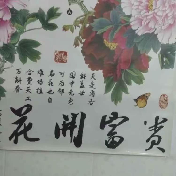 杨姐