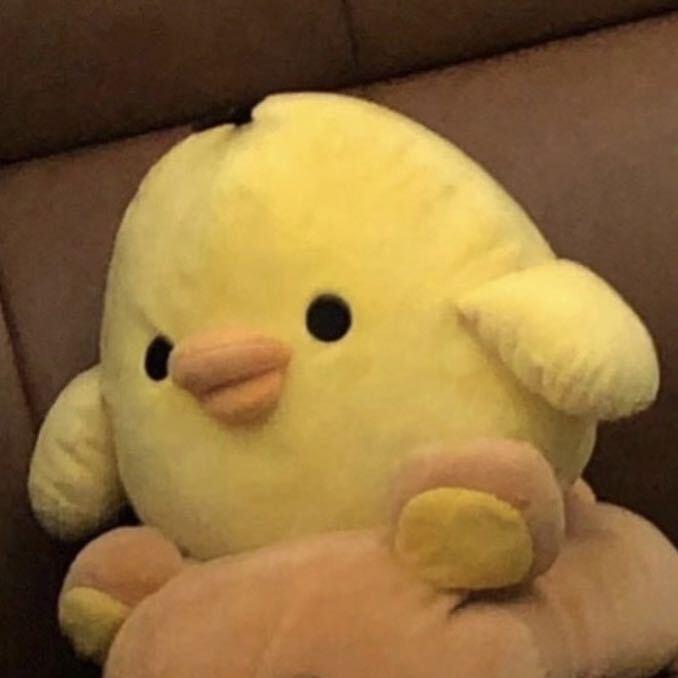 绵绵小王