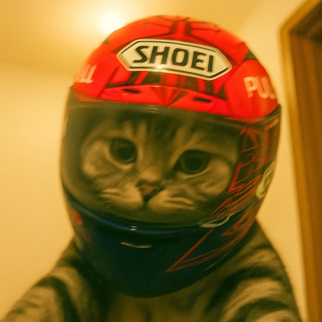 家改赛研究所🏍️