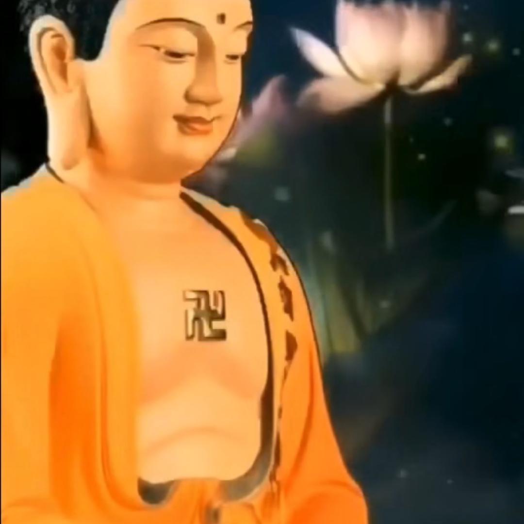 小马哥