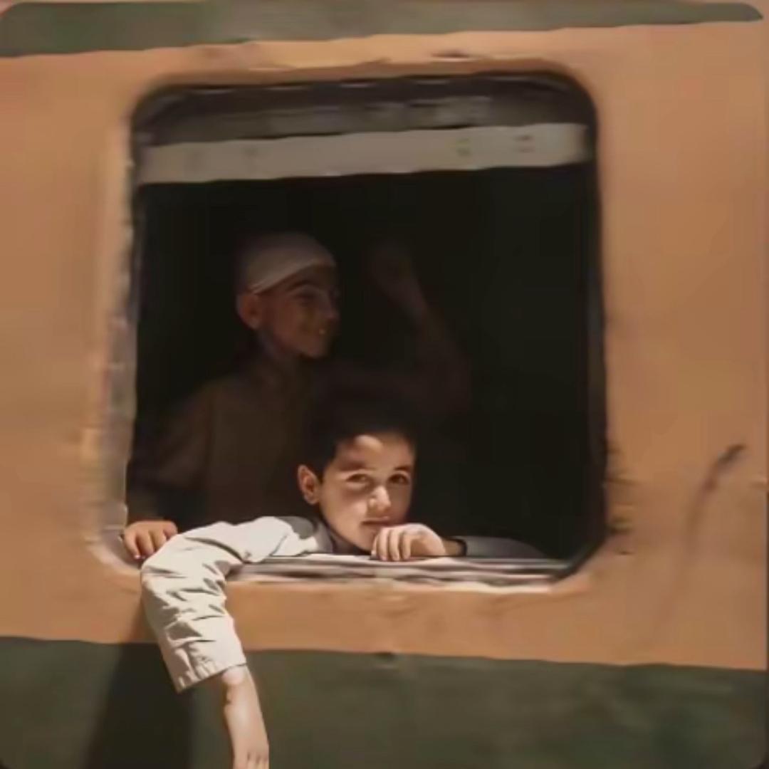 不知道叫什么❓