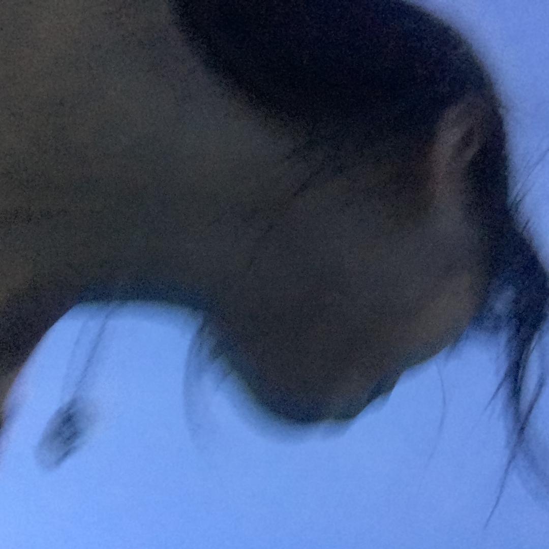 小学生日记→